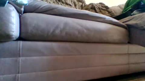 Snapshot of justgrosch4200 chatting on 02.27.26 justgrosch4200 online show from 02.27.26