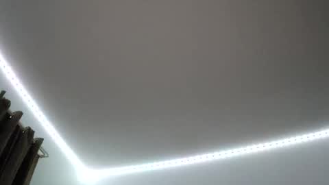 justsetfree online show from 11.29.25