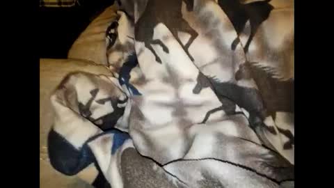 Snapshot of justswack chatting on 12.07.24 justswack online show from 12.07.24