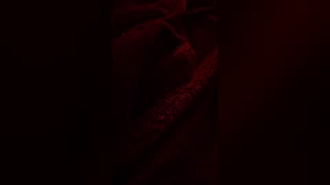 Snapshot of k36620146 chatting on 01.31.26 k36620146 online show from 01.31.26