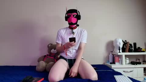 Snapshot of k9_goodboy chatting on 06.15.26 Alex online show from 06.15.26