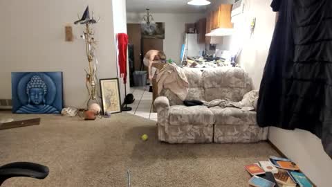 Kaiku77 online show from 11.30.25