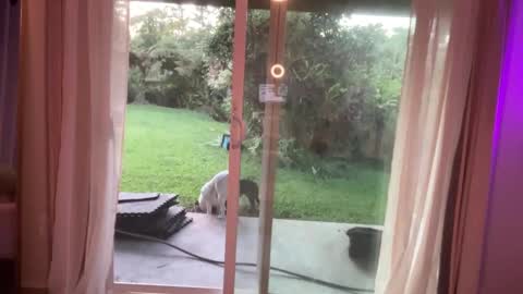 Snapshot of kaileeshy chatting on 01.07.25 Kailee Smile online show from 01.07.25