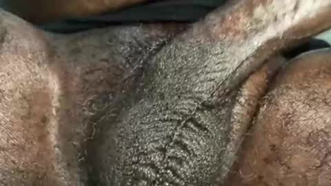 Snookie online show from 12.04.24