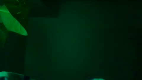 Karla Gonzaless online show from 11.13.25