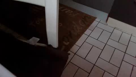 Snapshot of karlodi chatting on 10.31.25 Kev online show from 10.31.25