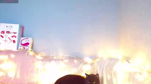 Kira online show from 01.12.25