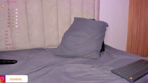 Snapshot of kateryn_bale chatting on 01.28.25 kateryn_bale online show from 01.28.25