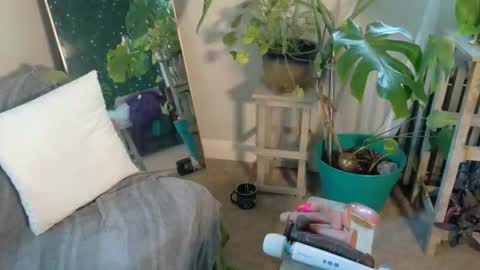 Kate online show from 10.01.25