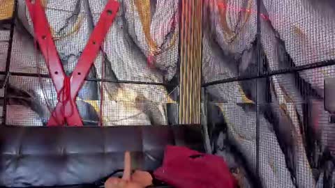 kati online show from 06.11.26