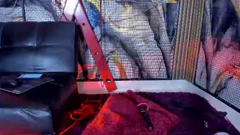 kati online show from 06.18.26