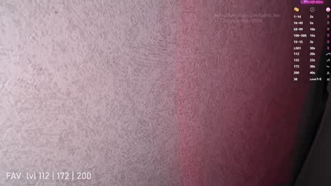 Snapshot of katrin_fox chatting on 12.25.24 pvt open online show from 12.25.24