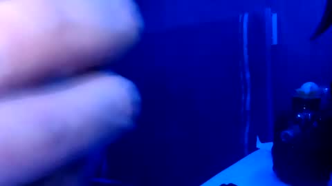 kattbakkxx online show from 07.01.26
