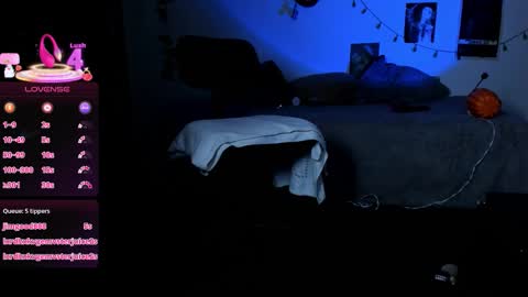 kattx   independent model online show from 11.11.25