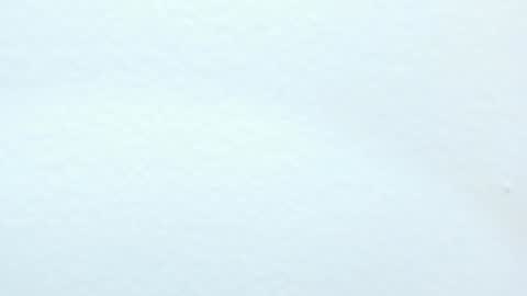 katy blonde girl and paola big boobs online show from 12.12.24