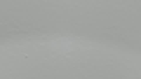 katy blonde girl and paola big boobs online show from 12.14.24