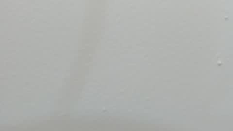 katy blonde girl and paola big boobs online show from 02.26.25