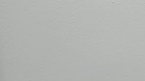 katy blonde girl and paola big boobs online show from 09.24.25