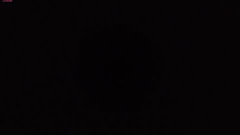 Warya online show from 12.12.24