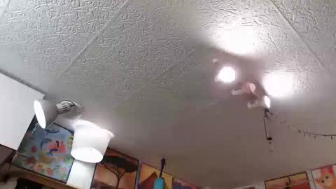 kelly online show from 04.24.26
