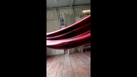 kelpejonh online show from 03.17.26