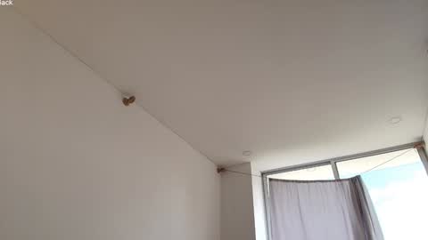 kendall online show from 03.11.26