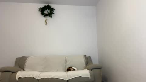 Snapshot of kennasoft chatting on 01.15.25 Kenna next time online - 2nd of Dec online show from 01.15.25