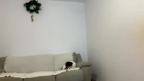 Snapshot of kennasoft chatting on 01.23.25 Kenna next time online - 2nd of Dec online show from 01.23.25