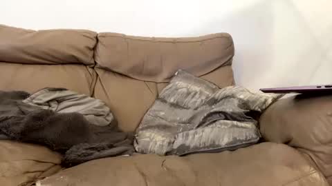 kevfromchat online show from 01.08.25