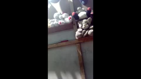 kevin_07279101 online show from 03.04.26