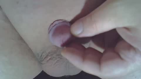 maggot online show from 11.15.25