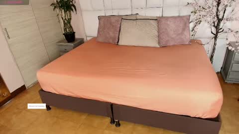    N         M online show from 02.26.25