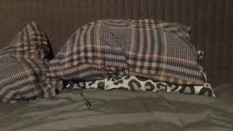 Snapshot of kiki3526 chatting on 11.23.25 kiki3526 online show from 11.23.25