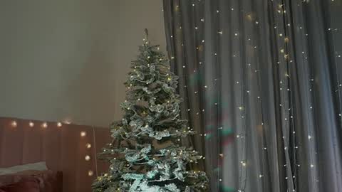 Snapshot of kim_oberlin chatting on 12.30.24 Kim Oberlin online show from 12.30.24