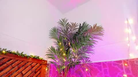 Snapshot of kimberly_gonzalez1 chatting on 01.11.25 kimberly gonzalez online show from 01.11.25