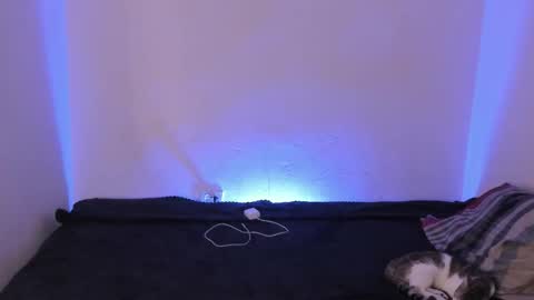 Snapshot of kimblair_ chatting on 12.16.25 Kim online show from 12.16.25