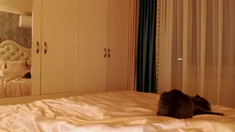 Kim Lee  online show from 12.14.24