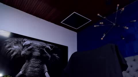 Angel Falconer online show from 01.18.26