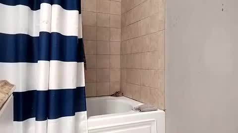 Snapshot of kingdongkonglong chatting on 01.21.25 kingdongkonglong online show from 01.21.25