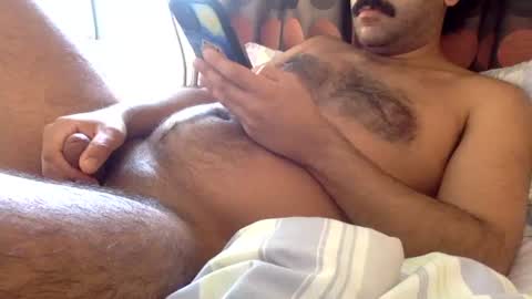 KingofPigs online show from 06.14.26