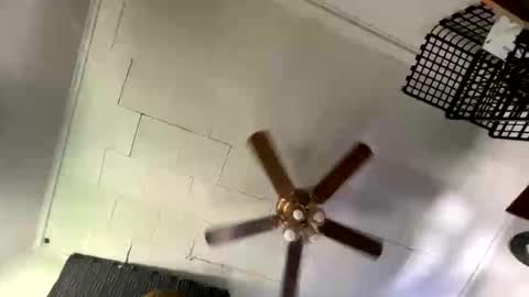 Kinky Cassie online show from 04.27.26