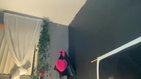 Snapshot of kinkykittee chatting on 01.02.25 Bunniii online show from 01.02.25