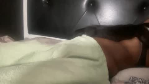 Snapshot of kinkykittee chatting on 02.03.25 Bunniii online show from 02.03.25