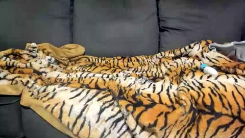 Kinky online show from 01.07.26