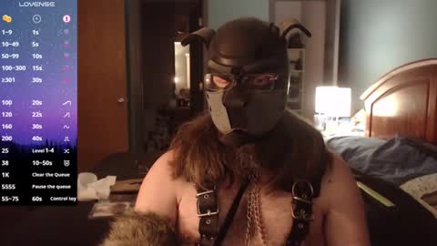 kinkywolf87 online show from 01.15.25