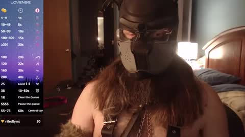 kinkywolf87 online show from 03.06.25