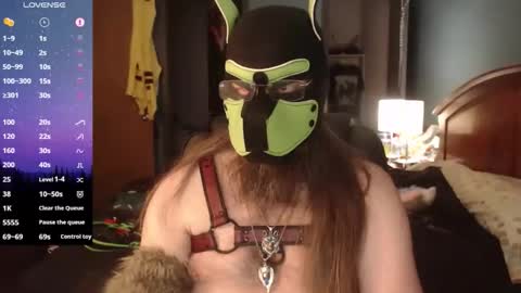 kinkywolf87 online show from 04.02.26