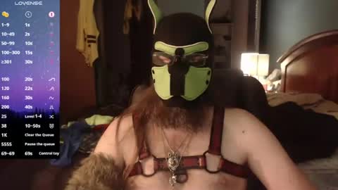kinkywolf87 online show from 06.11.26