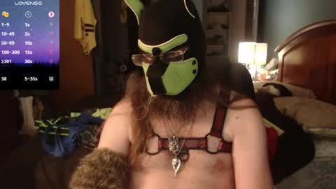 kinkywolf87 online show from 06.14.26