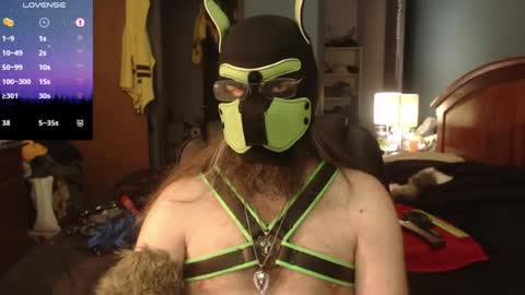 kinkywolf87 online show from 06.15.26